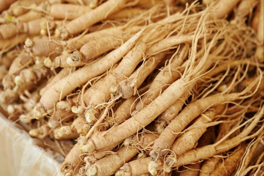 Le ginseng confirme ses effets positifs sur la mémoire.